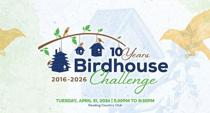 Birdhouse Challenge